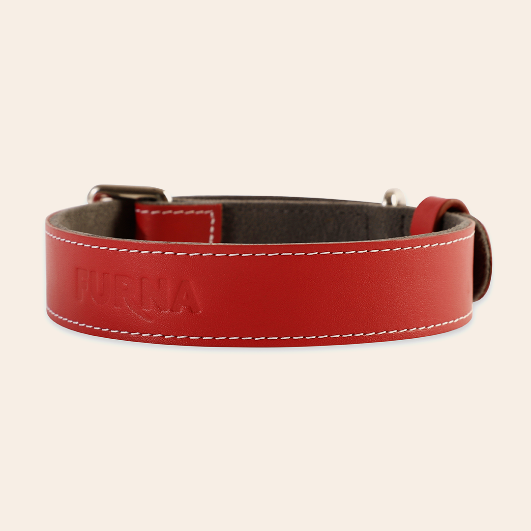 Red Pet Collar