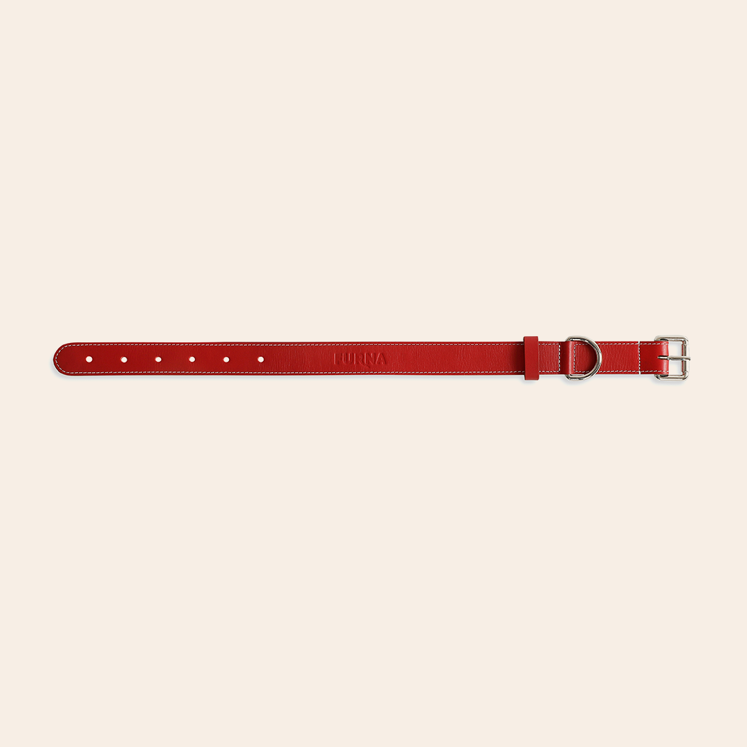 Red Pet Collar 4