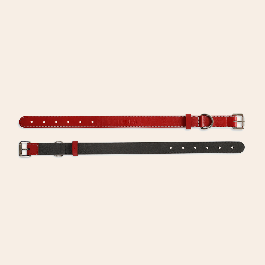 Red Pet Collar 1
