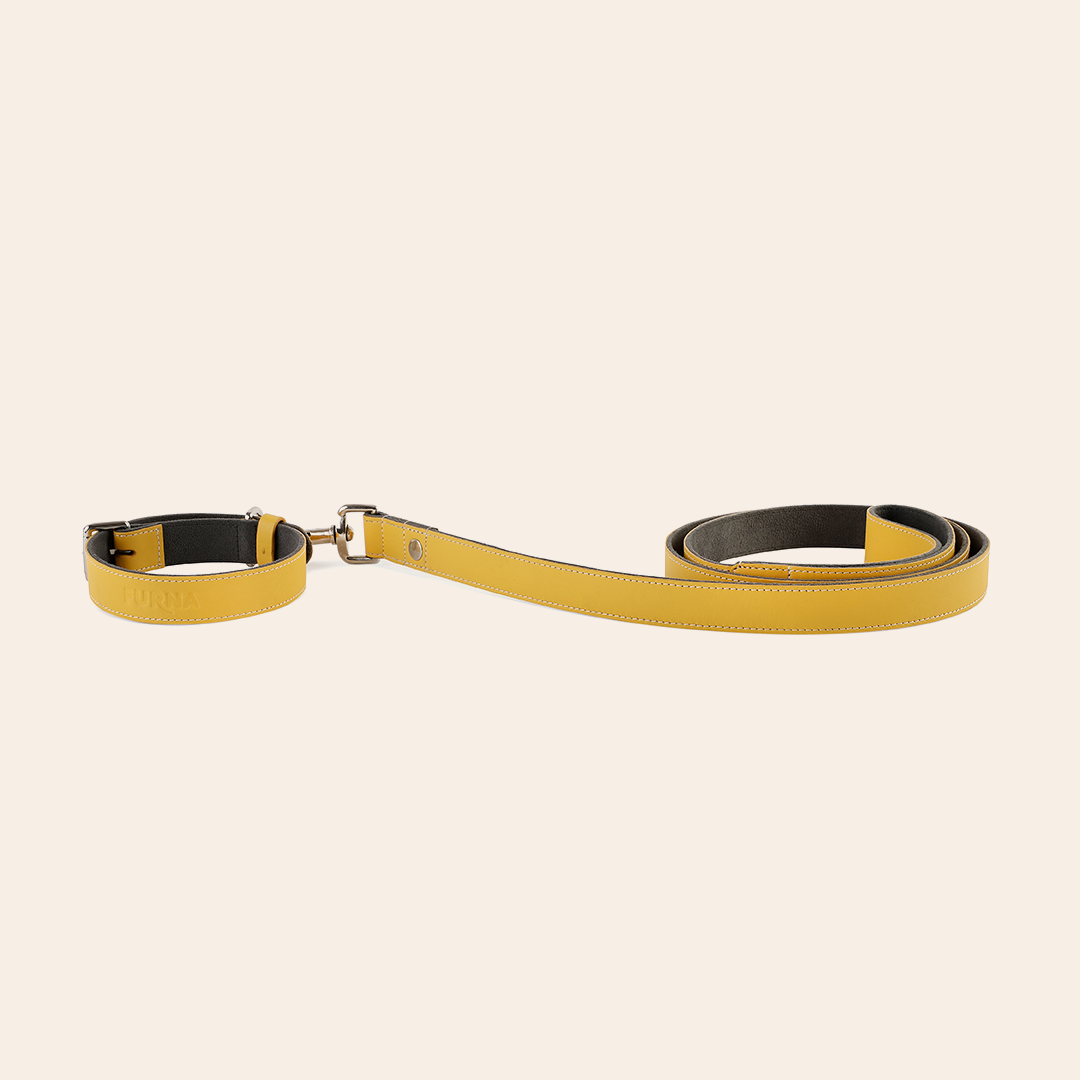 Yellow Pet Leashe 1