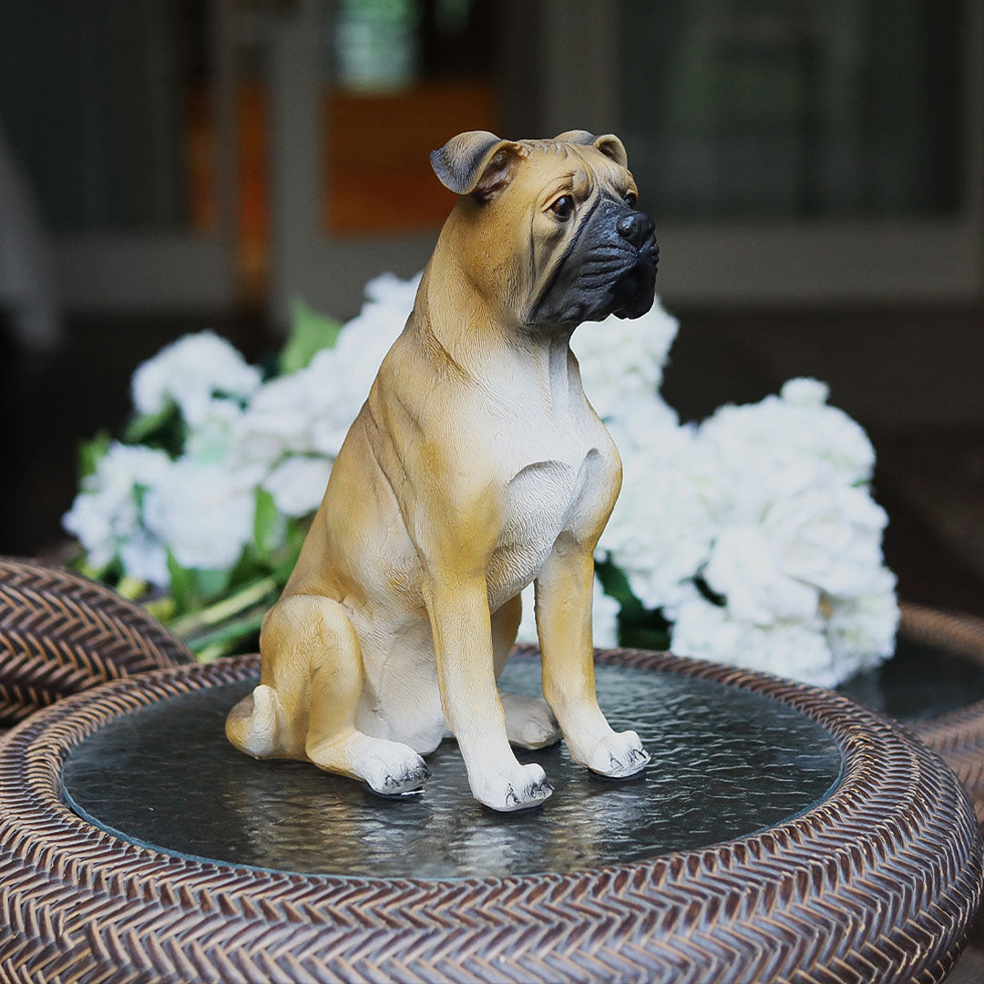 Brown Natural Bulldog 2