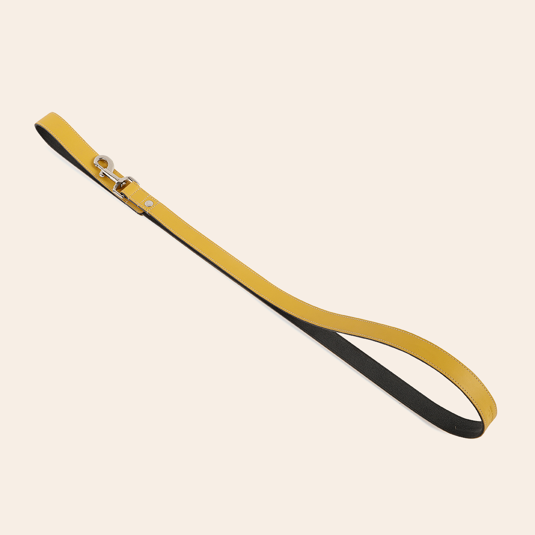Yellow Pet Leashe