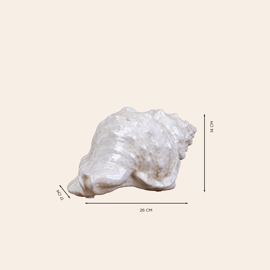 Seashell Decor Color Cream 2