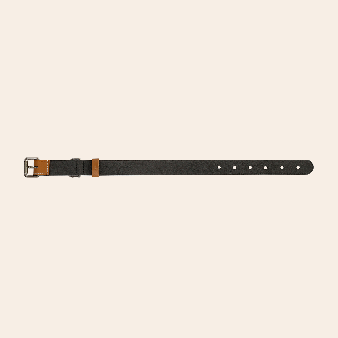 Pet Collar Tangerine 5