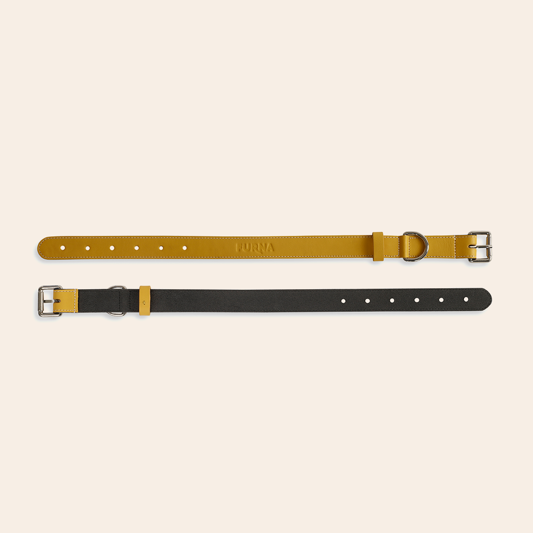 Yellow Pet Collar 2