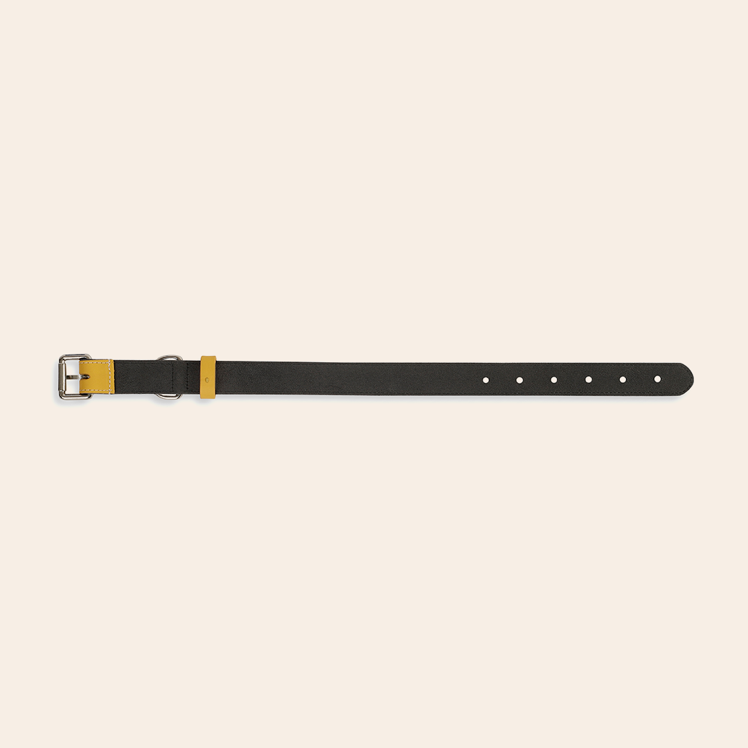 Yellow Pet Collar 6