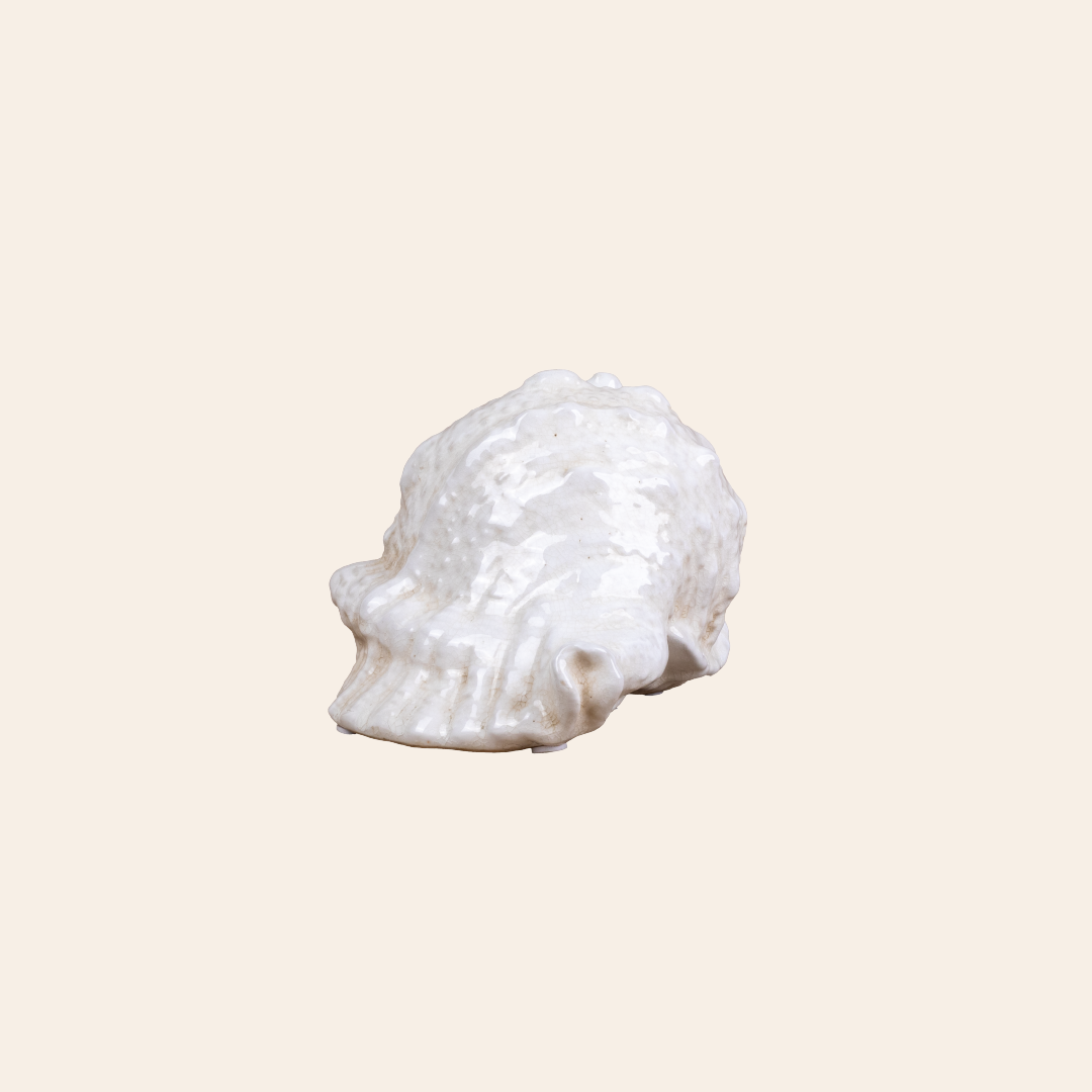 Seashell Decor Color Cream 5