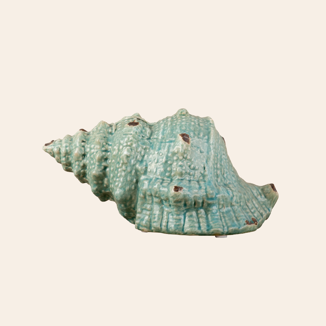 Seashell Antique Green