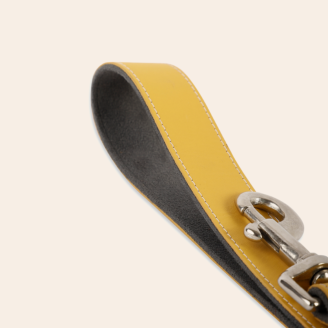 Yellow Pet Leashe 3