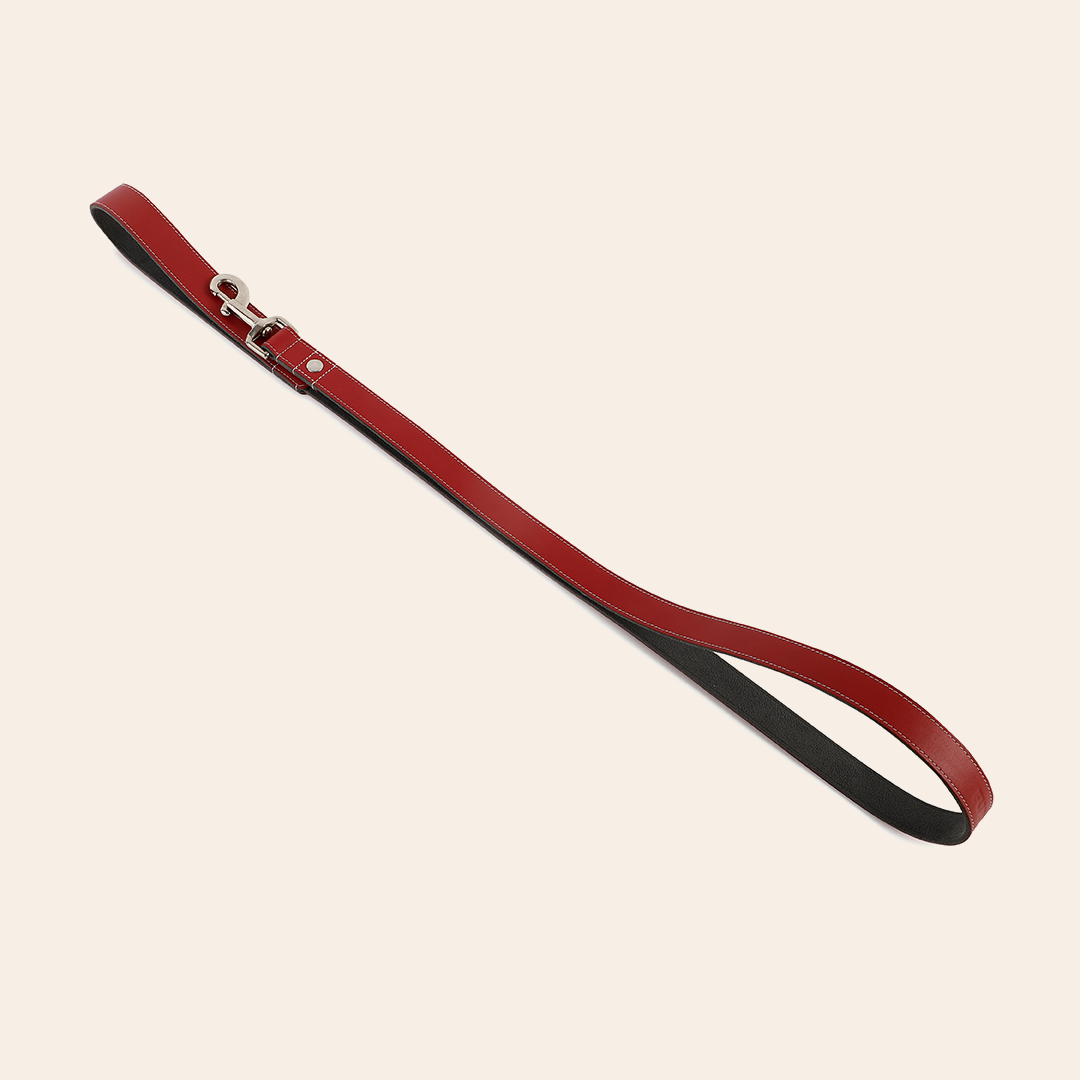 Red Pet Leashe