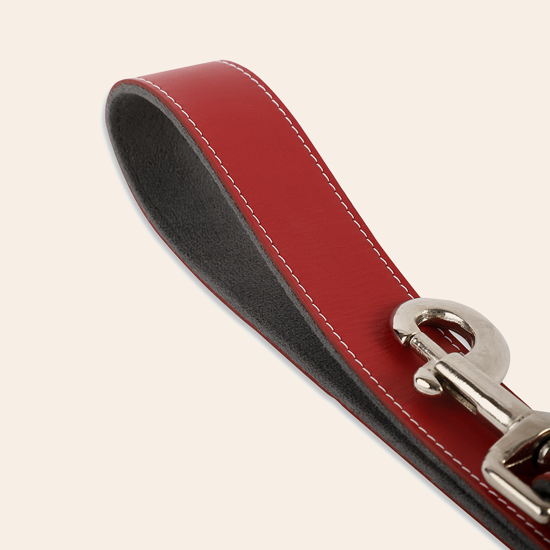 Red Pet Leashe 3