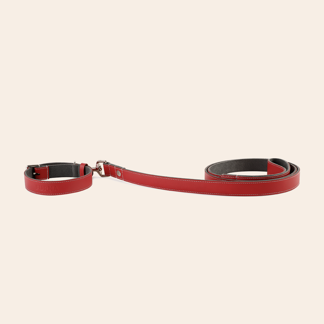 Red Pet Leashe 1