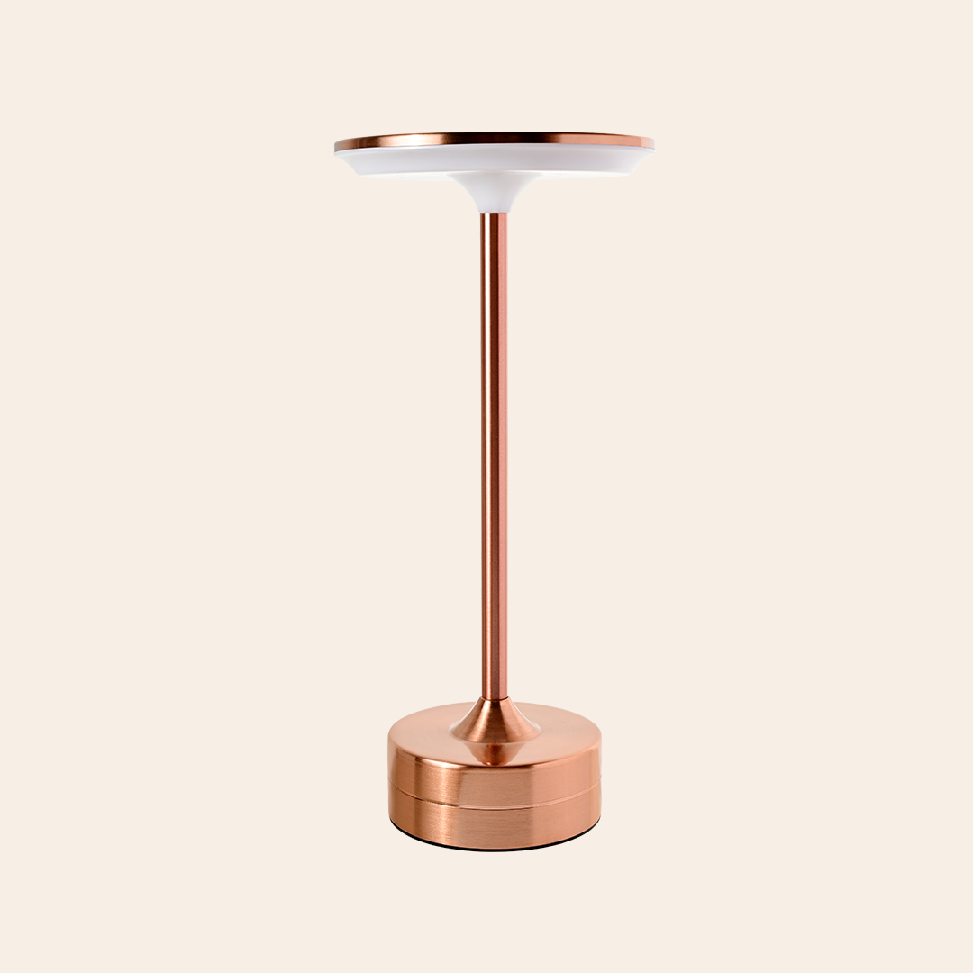 Modern LED Table Lamp