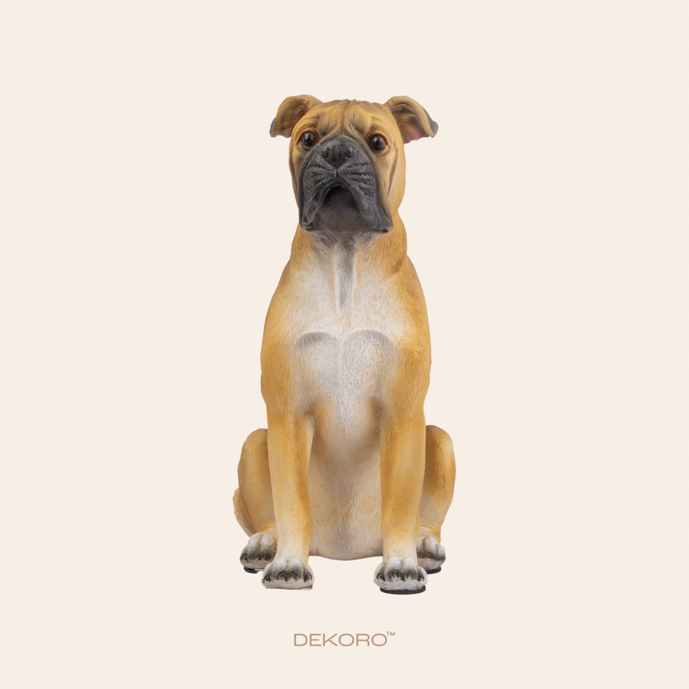 Brown Natural Bulldog