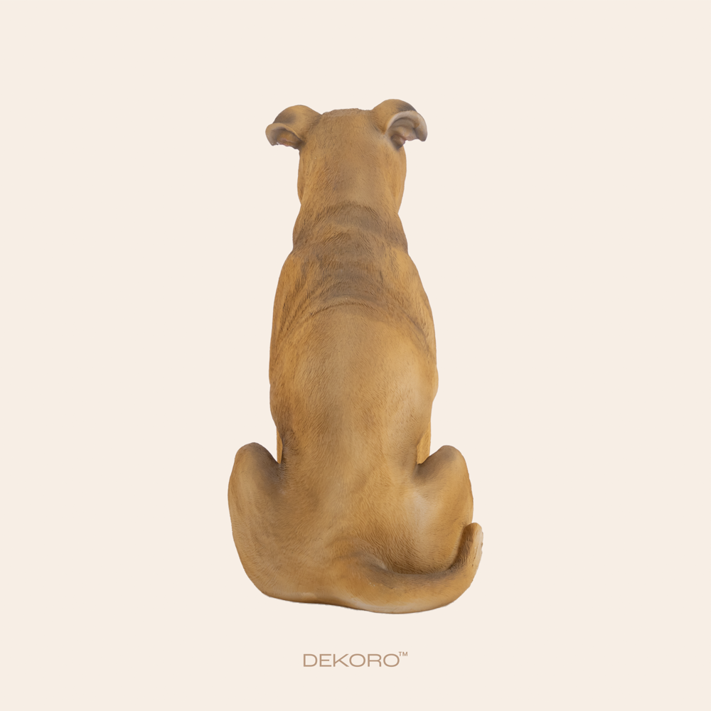 Brown Natural Bulldog 4