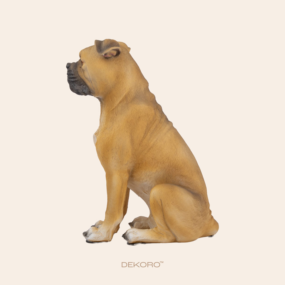 Brown Natural Bulldog 5