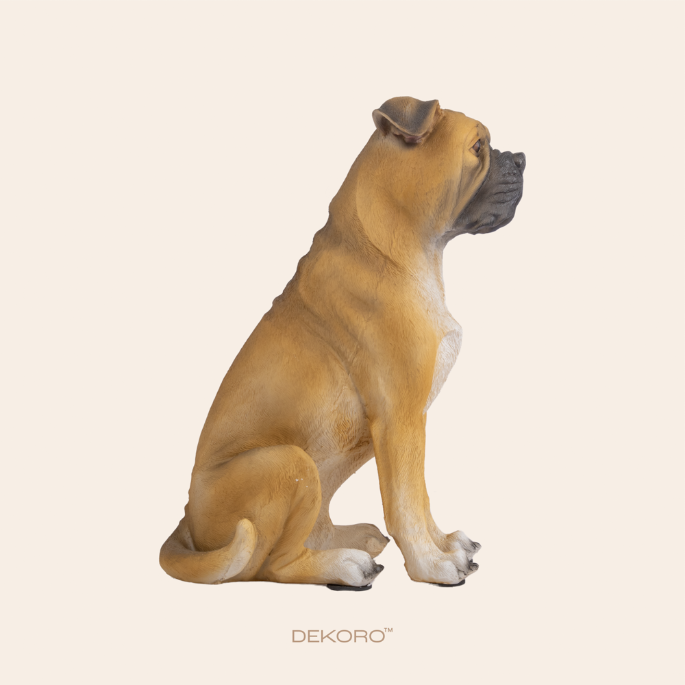 Brown Natural Bulldog 6