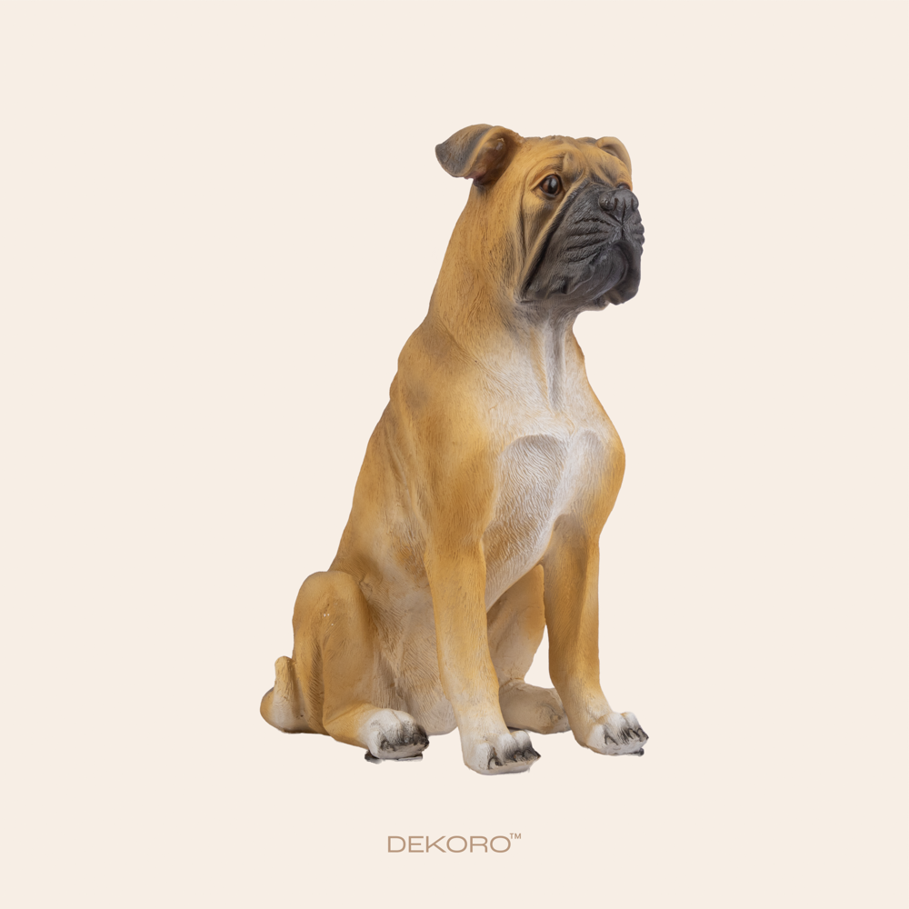 Brown Natural Bulldog 3