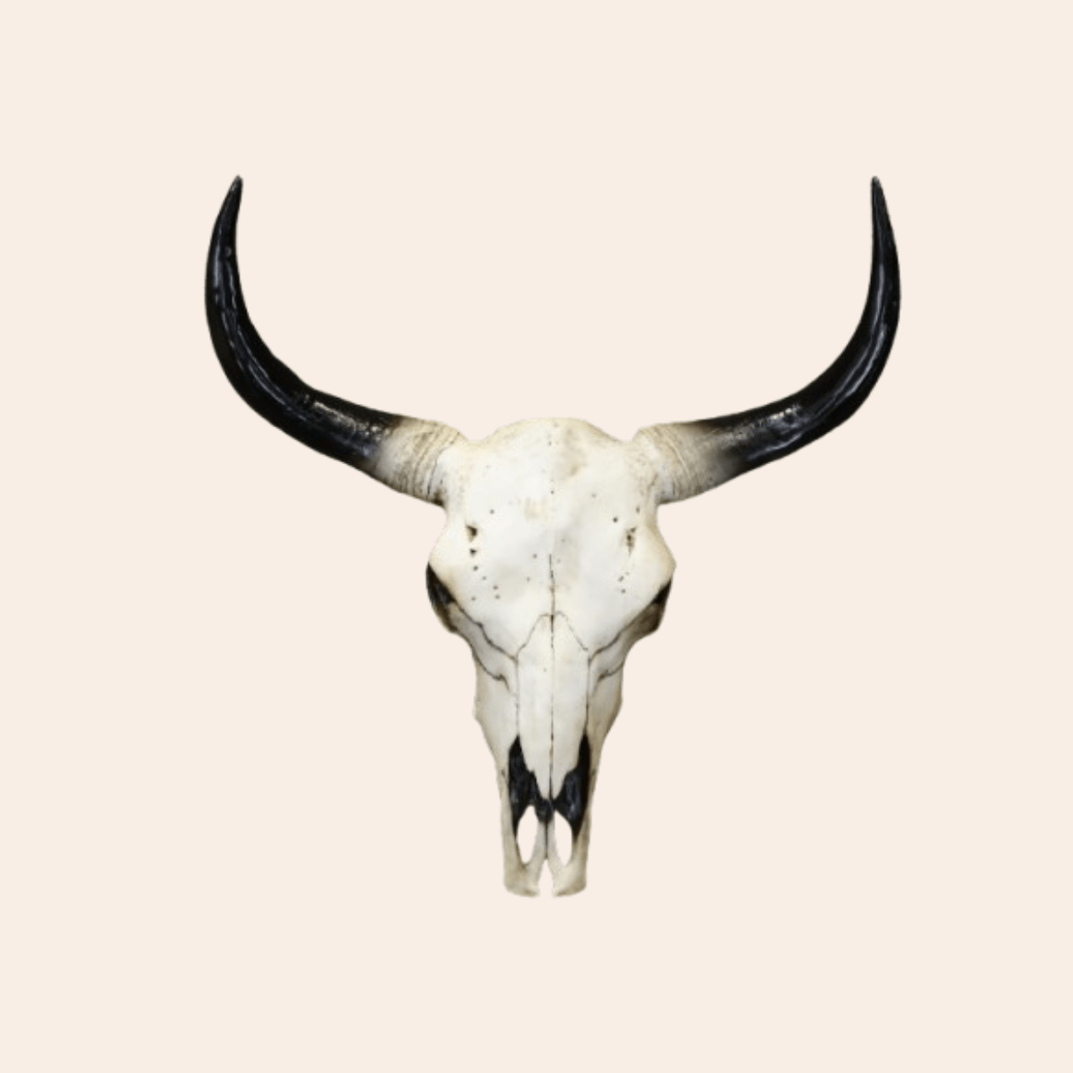 Animal Head