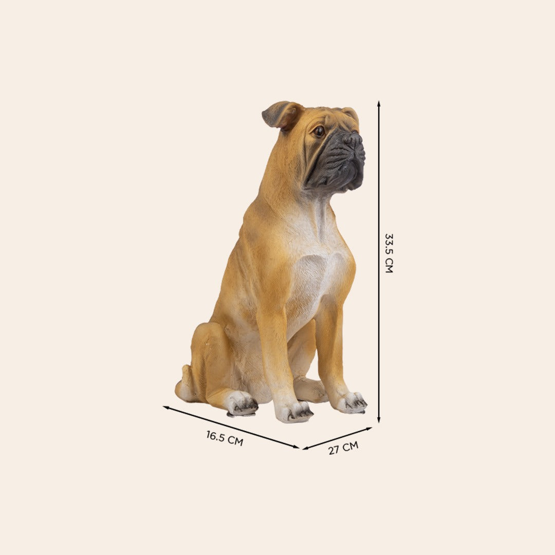 Brown Natural Bulldog 1