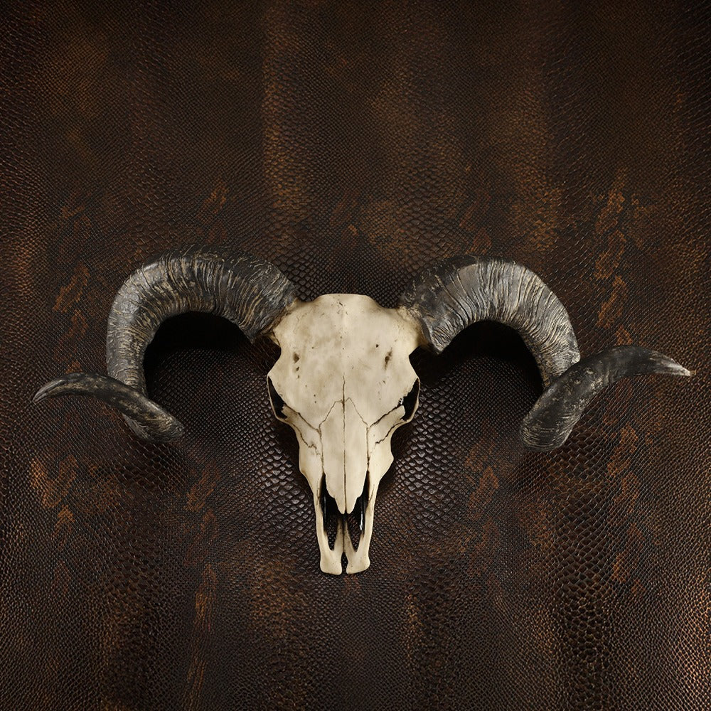 Animal Head