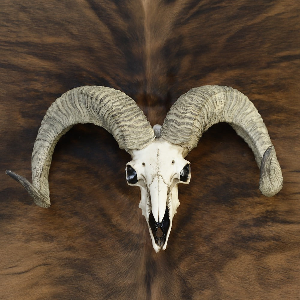 Goat Head Decor