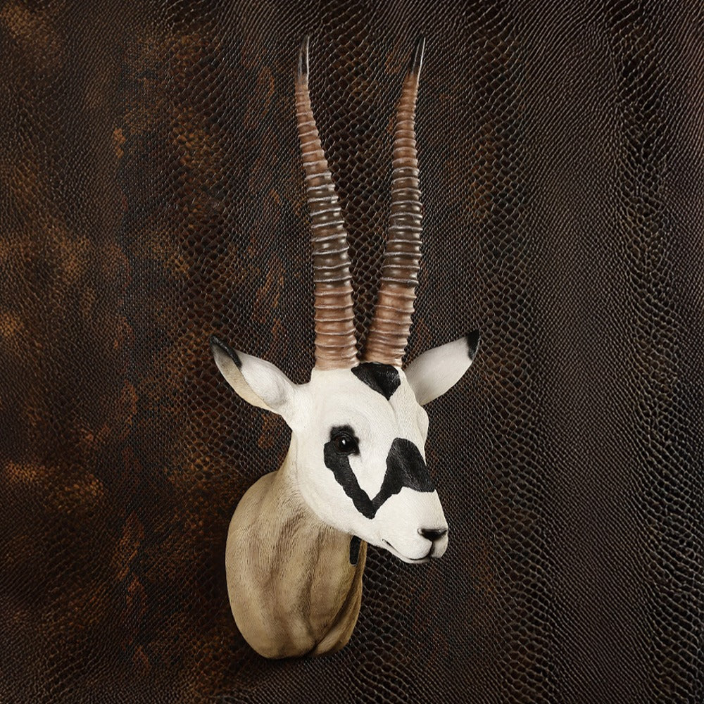 Antelope Head Decor