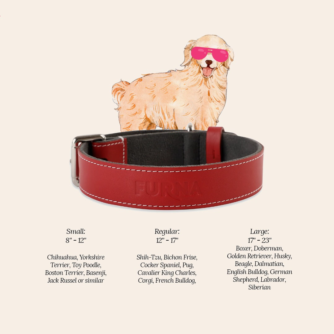 Red Pet Collar 3