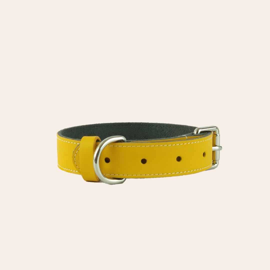 Yellow Pet Collar 1