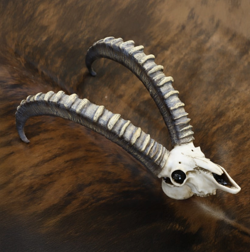 Goat Head Decor