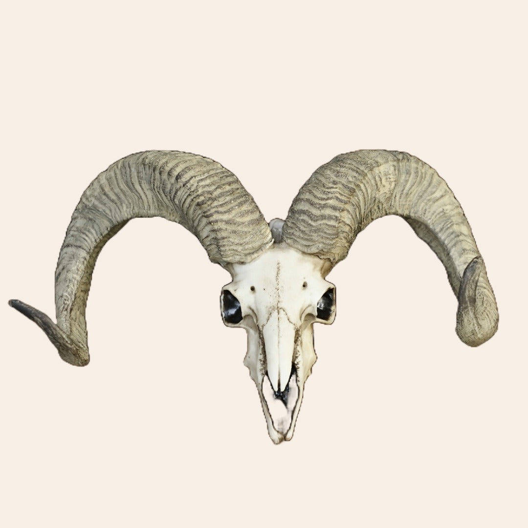 Goat Head Decor