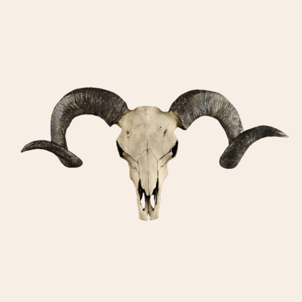 Animal Head