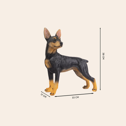 Doberman