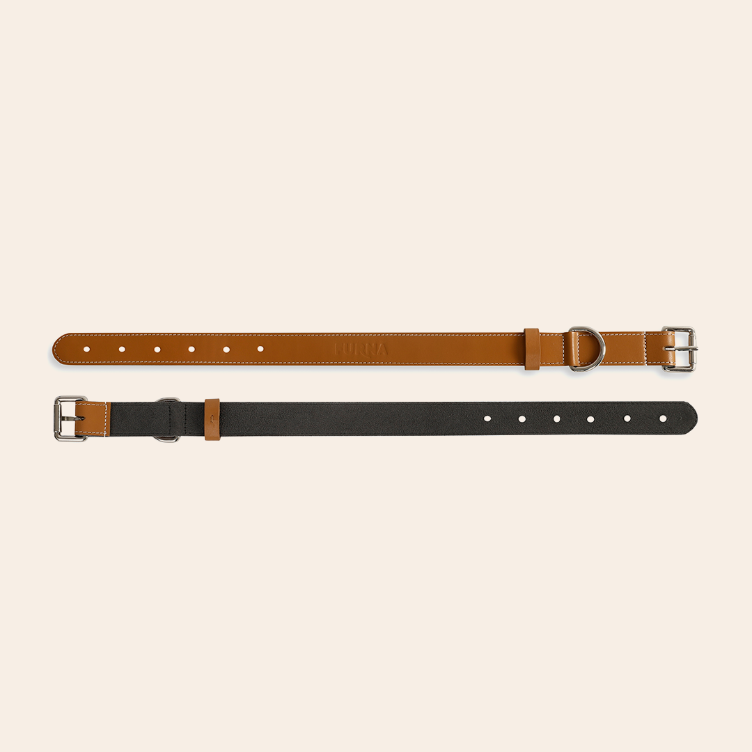 Premium Calf Leather Pet Collar