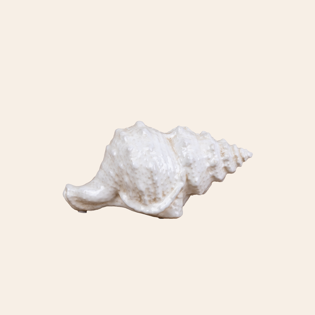 Seashell Decor Color Cream W/White Spots