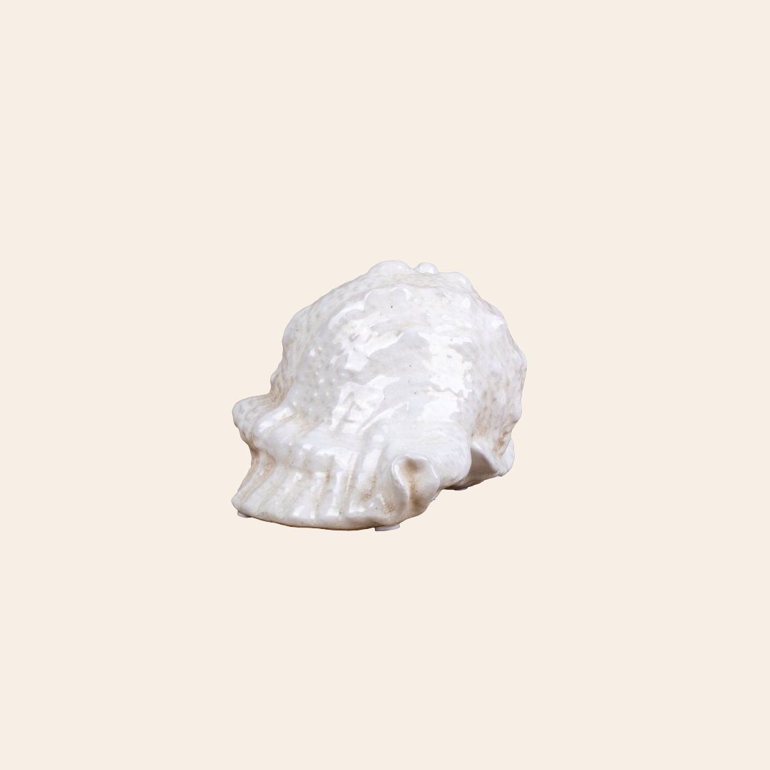 Seashell Decor Color Cream W/White Spots