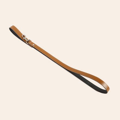 Premium Pet Leash
