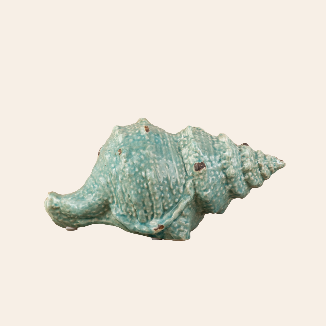 Seashell Decor Color: Antique Green