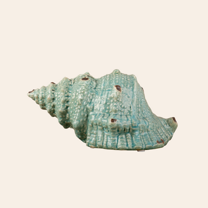 Seashell Decor Color: Antique Green