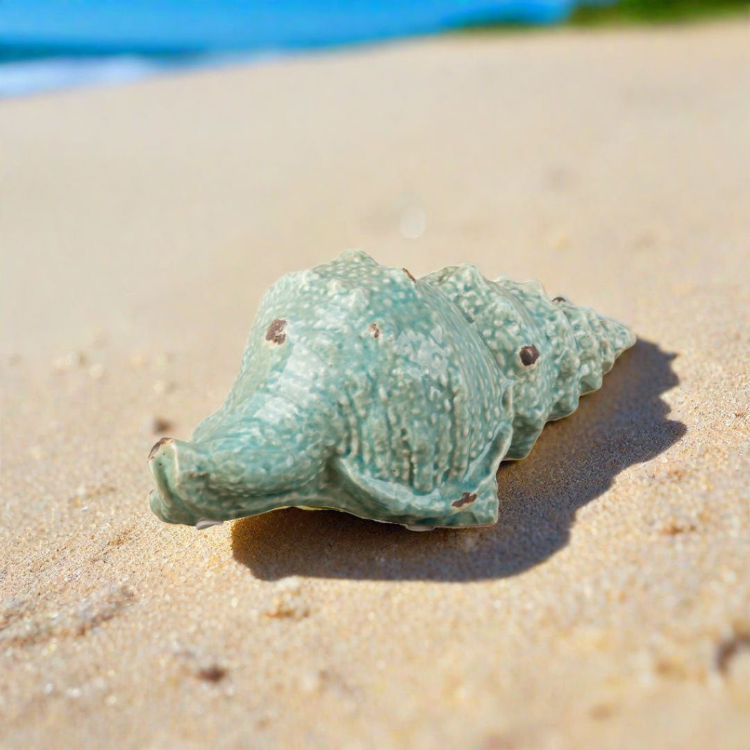 Seashell Decor Color: Antique Green