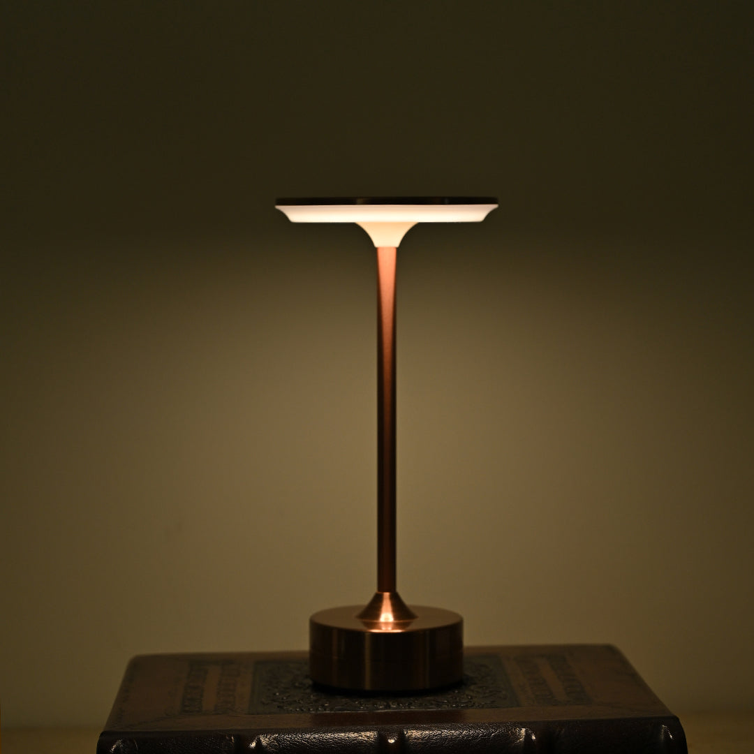 Modern LED Table Lamp
