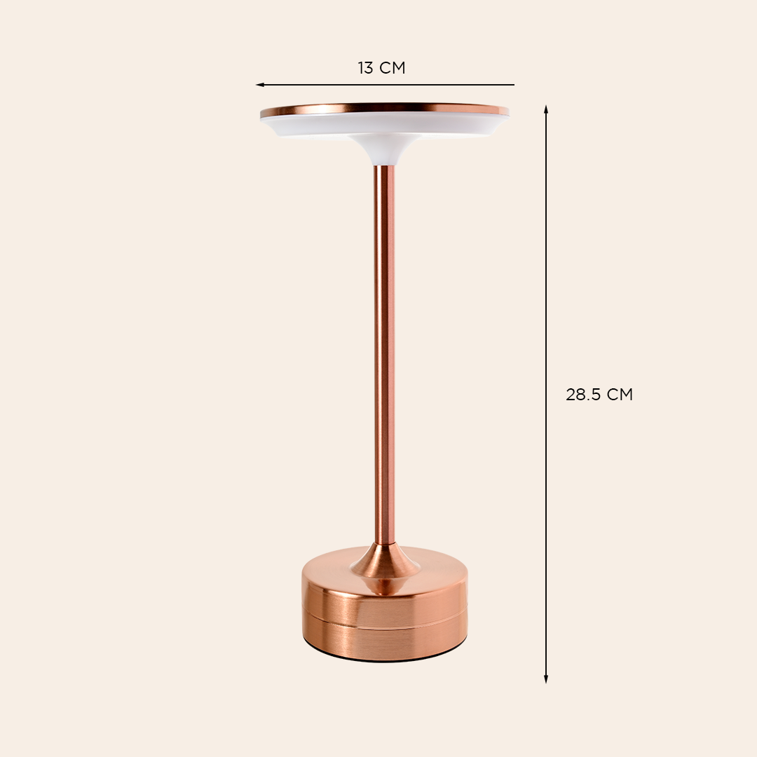 Modern LED Table Lamp