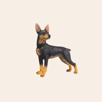 Doberman