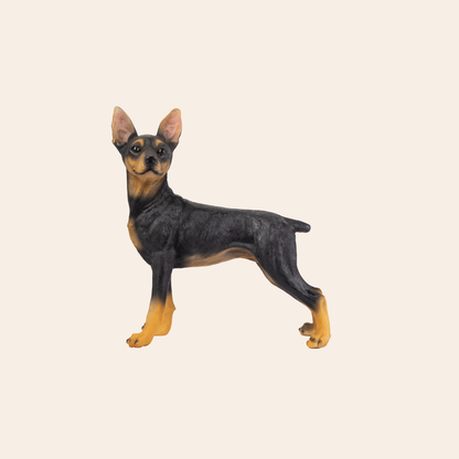 Doberman