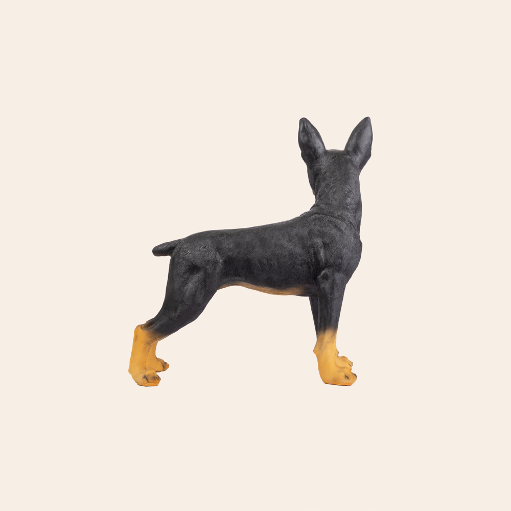 Doberman