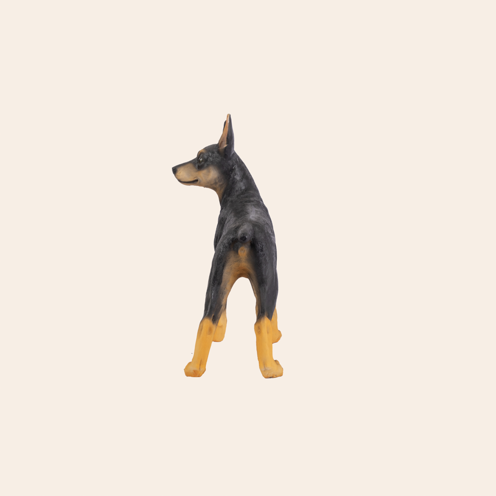 Doberman