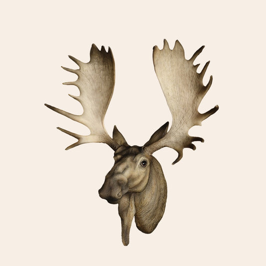 Moose Head Decor
