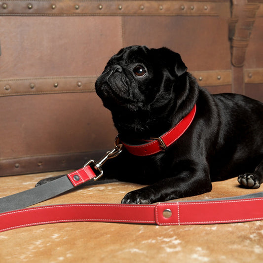 Red Pet Leashe 2